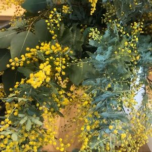 Meet your Posher, Meredith